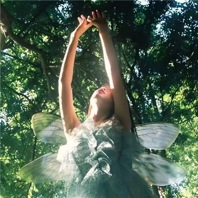 不要变成西瓜啊！主任！